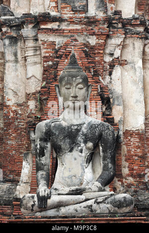 Statue de Bouddha dans le temple de Wat Maha Tat, Wat Mahathat, Ayutthaya, Phra Nakhon Si Ayutthaya, Thaïlande Banque D'Images