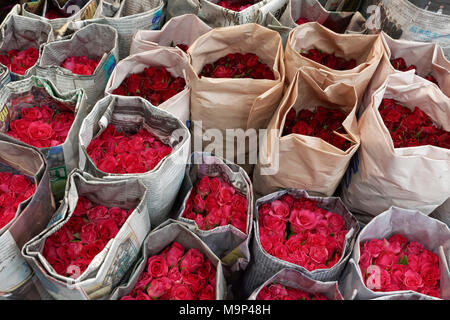 Roses, enveloppés dans du papier journal, pour la vente, Pak Khlong Talat, marché aux fleurs, Phra Nakhon, Bangkok, Thaïlande Banque D'Images