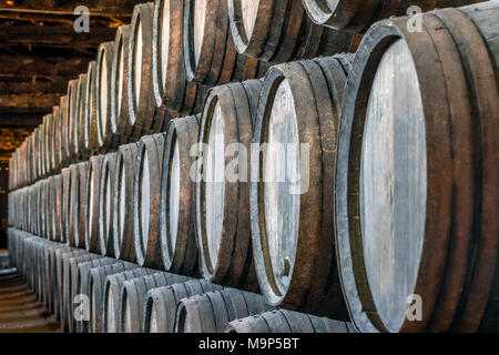 Beaucoup de tonneaux de vin de Porto à Vila Nova de Gaia, Portugal Banque D'Images