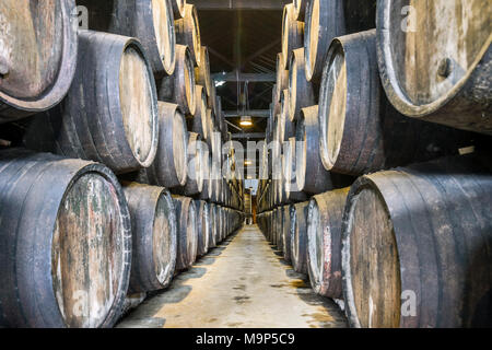 Beaucoup de tonneaux de vin de Porto à Vila Nova de Gaia, Portugal Banque D'Images