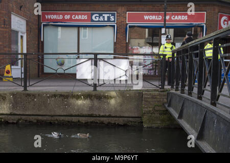 Canards à Salisbury, rumeurs que canards avait été déplacé sur à partir du flux à côté d'où l'ex-espion Sergueï Skripal et sa fille Julia ont été trouvés empoisonnés sont faux, le chef de l'autorité locale a dit. Banque D'Images