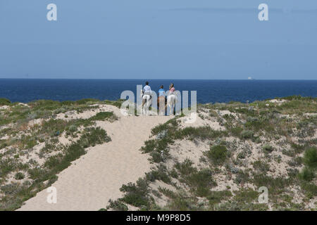 Comporta de l'ÉQUITATION DANS LES DUNES DE SABLE DE LA PLAGE DE COMPORTA Banque D'Images
