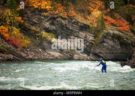 Man paddleboarding sur Snake River près de Jackson Hole, Wyoming, USA Banque D'Images