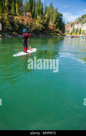 Man paddleboarding sur Snake River près de Jackson Hole, Wyoming, USA Banque D'Images