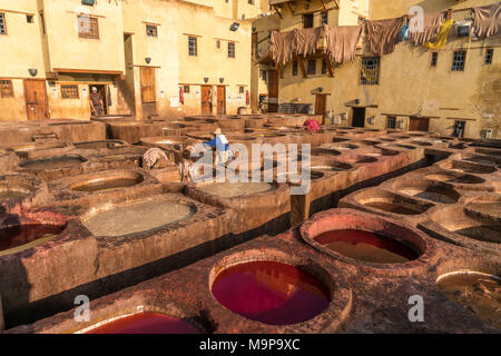 La teinture du cuir, des réservoirs de teinturerie, tannerie tannerie Chouara, Fes el Bali tannerie et teinturerie, FES, Maroc Banque D'Images