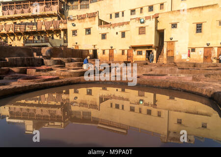 La teinture du cuir, des réservoirs de teinturerie, tannerie tannerie Chouara, Fes el Bali tannerie et teinturerie, FES, Maroc Banque D'Images