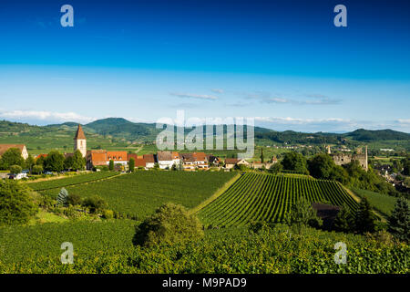 Village viticole et du paysage culturel à l'automne, Vogtsburg im Kaiserstuhl, Burkheim, Bade-Wurtemberg, Allemagne Banque D'Images