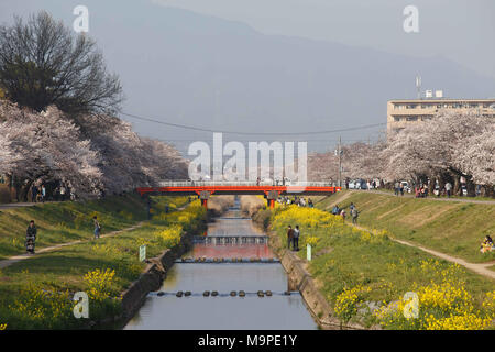 Toyokawa, Aichi, Japon. Mar 27, 2018. Les gens aiment les fleurs de cerisier au Riverside à Toyokawa.La fleur de cerisier également connu sous le nom de Sakura au Japon habituellement son sommet en mars ou début avril au printemps. Le Sakura est la fleur nationale du Japon. Credit : Takahiro Yoshida SOPA/Images/ZUMA/Alamy Fil Live News Banque D'Images