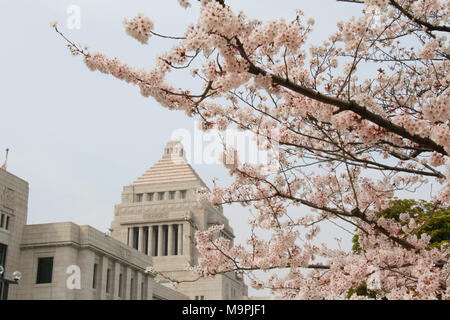 Tokyo, Japon. Mar 27, 2018. Les fleurs de cerisier fleuri entièrement sont affichés en face de la diète de Tokyo Mardi, 27 mars 2018. Credit : Yoshio Tsunoda/AFLO/Alamy Live News Banque D'Images