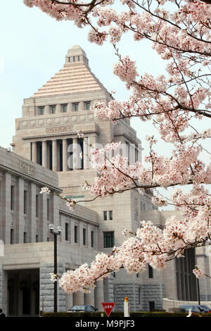 Tokyo, Japon. Mar 27, 2018. Les fleurs de cerisier fleuri entièrement sont affichés en face de la diète de Tokyo Mardi, 27 mars 2018. Credit : Yoshio Tsunoda/AFLO/Alamy Live News Banque D'Images