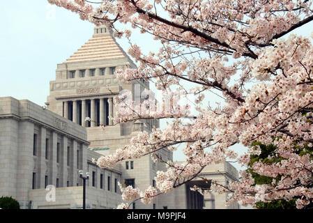 Tokyo, Japon. Mar 27, 2018. Les fleurs de cerisier fleuri entièrement sont affichés en face de la diète de Tokyo Mardi, 27 mars 2018. Credit : Yoshio Tsunoda/AFLO/Alamy Live News Banque D'Images