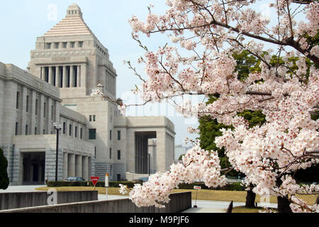 Tokyo, Japon. Mar 27, 2018. Les fleurs de cerisier fleuri entièrement sont affichés en face de la diète de Tokyo Mardi, 27 mars 2018. Credit : Yoshio Tsunoda/AFLO/Alamy Live News Banque D'Images