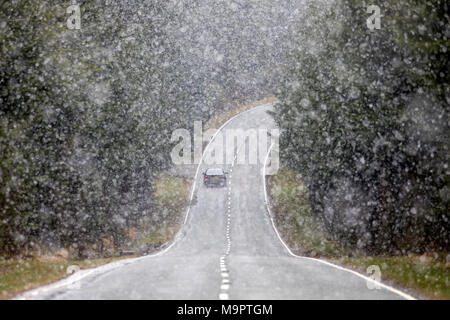 Le Nord du Pays de Galles, Royaume-Uni 28 mars 2018, Météo France : une nouvelle vague de neige et des températures plus froides du nord du Pays de Galles avec plus de hits attendus de la neige dans la semaine à venir. Fortes averses de neige commencent en tant qu'automobiliste voyages à travers les forêts le long de la B4501, Denbighshire © DGDImages/Alamy Live News Banque D'Images