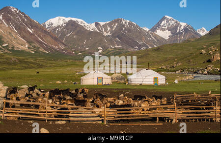 Troupeau de chèvres (Capra) et les yourtes des nomades avec des montagnes à l'arrière, la Mongolie Banque D'Images