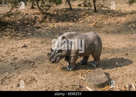 White Rhino jouet sans un klaxon sur un terrain naturel. Banque D'Images