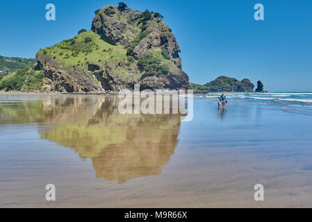 L'homme et son chien marche sur Piha beach avec lion rock réfléchi sur le sable en Nouvelle Zélande Banque D'Images