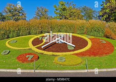 L'Europe, Suisse, Genève, Geneva, Genève, dock vous des bains, réveil fleur, L'Horloge Fleurie, Jardin Anglais, jardin anglais, arbres, decorati Banque D'Images