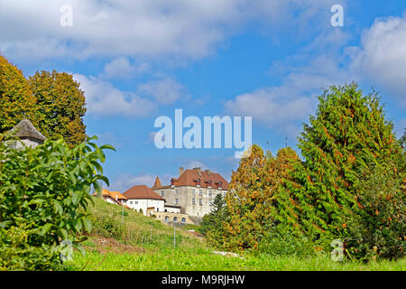 L'Europe, Suisse, Fribourg, gruyère fromage, Rlle des Chevaliers, château, Château de gruyère, l'architecture, arbres, bâtiments, historiquement Banque D'Images