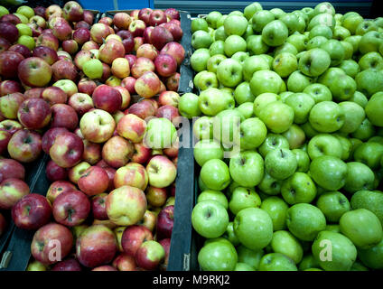 Nombreux des pommes mûres se situent sur la vitrine. Banque D'Images