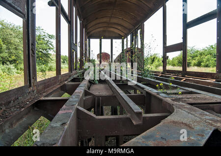 Ancien wagon dévasté sur la voie de chemin de fer dans les mauvaises herbes, les buissons et l'herbe. Banque D'Images