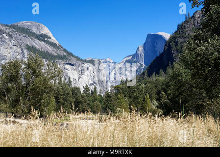 La Vallée Yosemite avec de grandes falaises de granit avec l'herbe d'or dans l'arrière-plan Banque D'Images