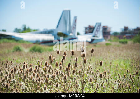 La nature prise en charge des avions Fairchild abandonnés de CATA Linea Aerea à l'aéroport de Moron à Buenos Aires Banque D'Images