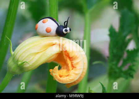 Monde - Pâte à modeler maison coccinelle blanc avec peu de taches orange assis sur une courgette, selective focus on head Banque D'Images