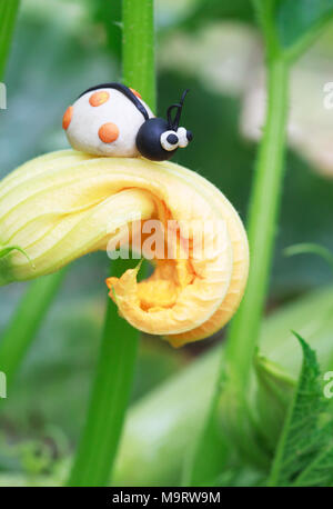 Monde - Pâte à modeler maison coccinelle blanc avec peu de taches orange assis sur une courgette, selective focus on head Banque D'Images