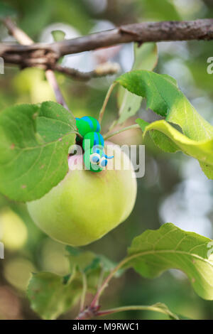 Monde - Pâte à modeler maison peu green caterpillar est rampant sur la pomme, selective focus on head Banque D'Images