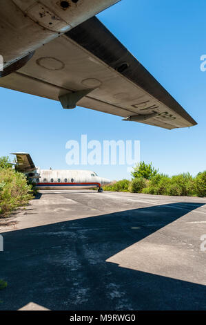 La nature prise en charge des avions Fairchild abandonnés de CATA Linea Aerea à l'aéroport de Moron dans Buenos Aires, en vertu de l'image de l'aile Banque D'Images