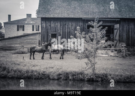 Des chevaux dans une ferme par une voie navigable à Upper Canada Village, un parc du patrimoine populaire près de Morrisburg illustrant la vie au 19e siècle dans la région de Canada Banque D'Images