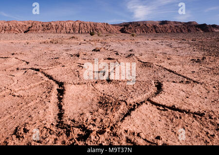 12.2005, la terre sèche dans le dans le désert d'Atacama au Chili. Banque D'Images