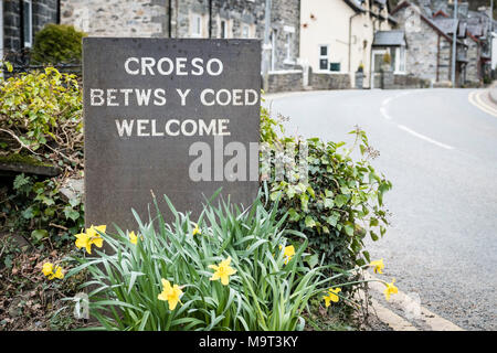 Croeso, Betws-Y-coed, Snowdonia, le Nord du Pays de Galles, Royaume-Uni Banque D'Images