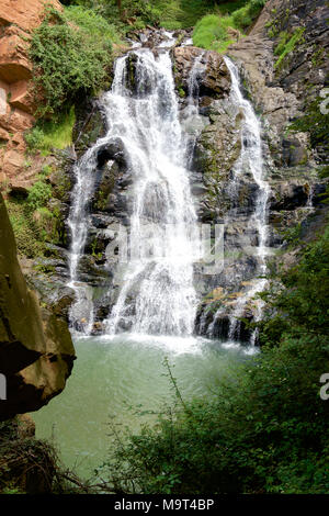 Witpoortjie Falls sur la rivière Crocodile, Walter Sisulu Gardens, Afrique du Sud Banque D'Images