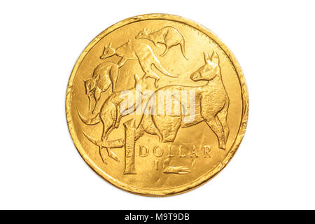 Chocolat Australian gold pièce de 1 dollar de l'Australie, l'AUD de monnaie, du côté de la queue avec cangaroos l'icône de l'animal. Isolé sur fond blanc studio. Banque D'Images