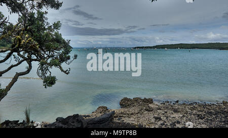 Voir d'Islington bay à partir de la piste côtière sur l'île de Rangitoto Nouvelle-zélande Banque D'Images