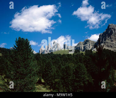 La Seceda Geisler Gruppe ou Gruppo delle Odle contexte à partir de la tête du Val Cuecena au-dessus de la Val Gardena Dolomites Italie été Banque D'Images
