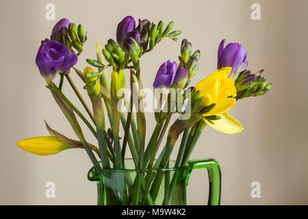 Et les jonquilles Freesias disposés dans une cruche en verre vert tourné en lumière naturelle sur un arrière-plan. Banque D'Images