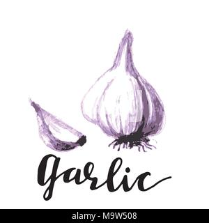 Croquis dessinés à la main, des légumes à l'ail de la ferme du groupe de l'affiche. Illustration de Vecteur