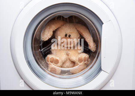 Lièvre en peluche dans la machine à laver Banque D'Images