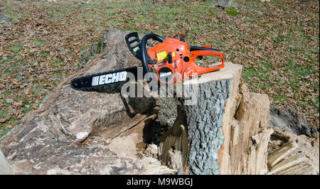 Tronçonneuse Echo sur oak tree stump tronc d'arbre tombé au sol sur la coupe de bois de chauffage Banque D'Images