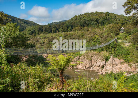 Swingbridge sur la Gorge de Buller, île du Sud, Nouvelle-Zélande Banque D'Images