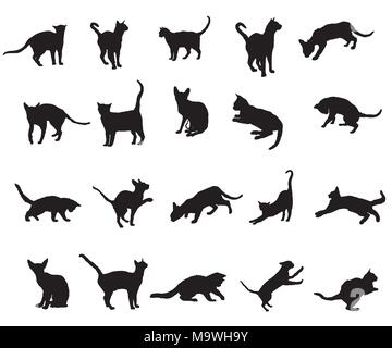 Jeu de chats de races différentes silhouettes (assis, debout, couché, jouant) en couleur noir isolé sur fond blanc. Monochrome Vector illustrat Illustration de Vecteur