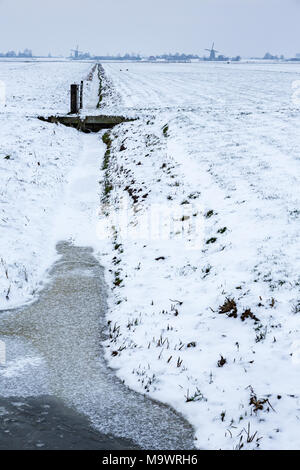 Les moulins à vent historiques dans une terre agricole néerlandais froid et enneigé près du village Nieuw Wetering aux Pays-Bas. Banque D'Images