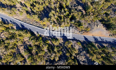 Vue de dessus sur la route dans la forêt de montagne dans la région de Tenerife, Espagne Banque D'Images