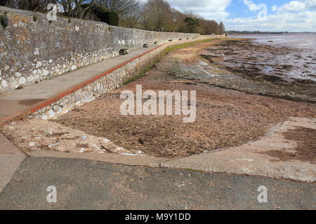 Le bouc à pied, vue vers Exmouth, Topsham, Devon, England, UK Banque D'Images