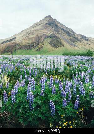 Paysage typique de l'Islande avec des montagnes Banque D'Images