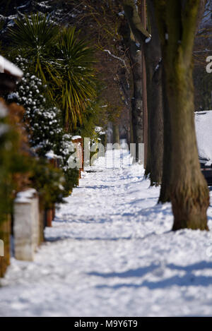 La chaussée couverte de neige avec l'avenue bordée d'après la bête de l'Est phénomène météo Banque D'Images