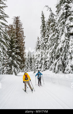 Deux femmes vues de dos sur un ski de piste à travers la forêt de conifères épais recouvert de neige. Banque D'Images