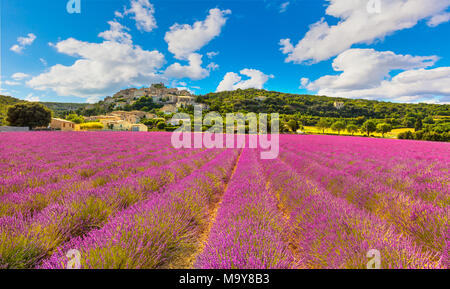 Simiane la Rotonde et village panorama lavande. Provence, France, Europe Banque D'Images